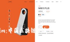 Tokenim：中国区块链技术公司的新兴力量