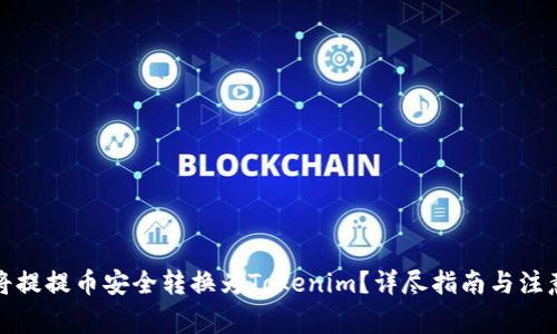 如何将提提币安全转换为Tokenim？详尽指南与注意事项