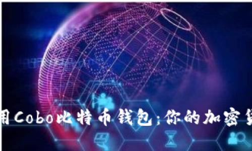 如何高效使用Cobo比特币钱包：你的加密货币管理伴侣