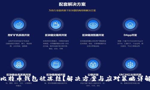 比特币钱包被冻结？解决方案与应对策略详解
