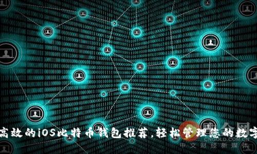 安全高效的iOS比特币钱包推荐，轻松管理您的数字资产