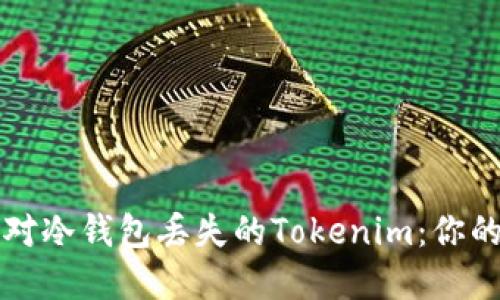 如何优雅地应对冷钱包丢失的Tokenim：你的资产安全指南