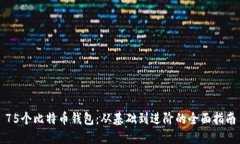 75个比特币钱包：从基础到进阶的全面指南