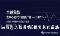 薄饼在Tokenim钱包上能用吗？探索新兴区块链的支