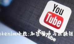 理解Tokenim小数：加密货币与区块链的未来