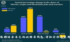 如何选择适合自己的比特币钱包：详细介绍与使