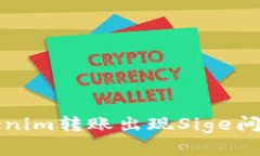 如何解决Tokenim转账出现Sige问题的终极指南