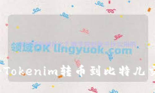 如何将Tokenim转币到比特儿交易所？