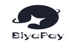 TokenTokenIM钱包使用的主网及其特点在数字货币迅