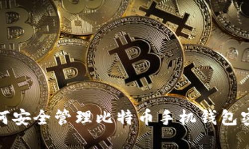 如何安全管理比特币手机钱包密码