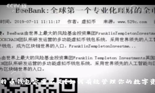 比特币钱包容量不足？如何有效管理你的数字资产