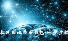 如何轻松使用比特币钱包：一步步视频教程