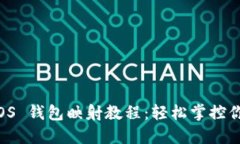 Tokenim EOS 钱包映射教程：轻松掌控你的数字资产