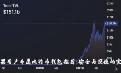 国内苹果用户专属比特币钱包推荐：安全与便捷