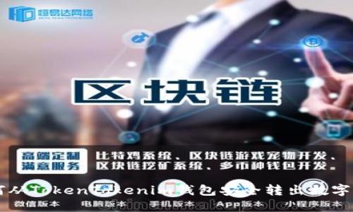 如何从TokenTokenim钱包安全转出数字货币