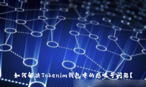 如何解决Tokenim钱包中的感叹号问题？