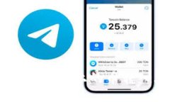 如何将Tokenim钱包上的币转入火币交易所？
